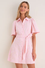 Light Pink Embroidered Gingko Leaf Peppa Mini Dress