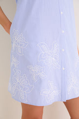 Blue Embroidered Pinstripe Louisa Mini Dress
