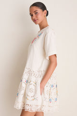 Multi Astrid Embroidery Mini Dress