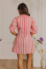 Pretty Little Stripes Mini Dress