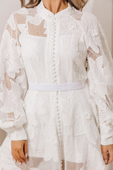Elegant Impression Embroidered Button Down Mini Dress