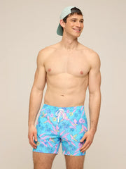 The Flock Parties 5.5" (Classic Lined Swim Trunk) - Image 4 - Chubbies Shorts