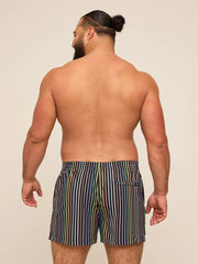 The Luminous Identity 4" (Classic Lined Swim Trunk) - Image 2 - Chubbies Shorts