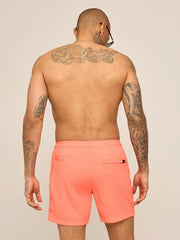 The Nectar Glows 5.5" (Textured Lined Swim) - Image 2 - Chubbies Shorts