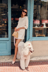 Porcelain Delphine Mini Dress