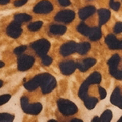 Animal Print Notch Neck Drawstring Hem Dress