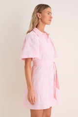 Light Pink Embroidered Gingko Leaf Peppa Mini Dress
