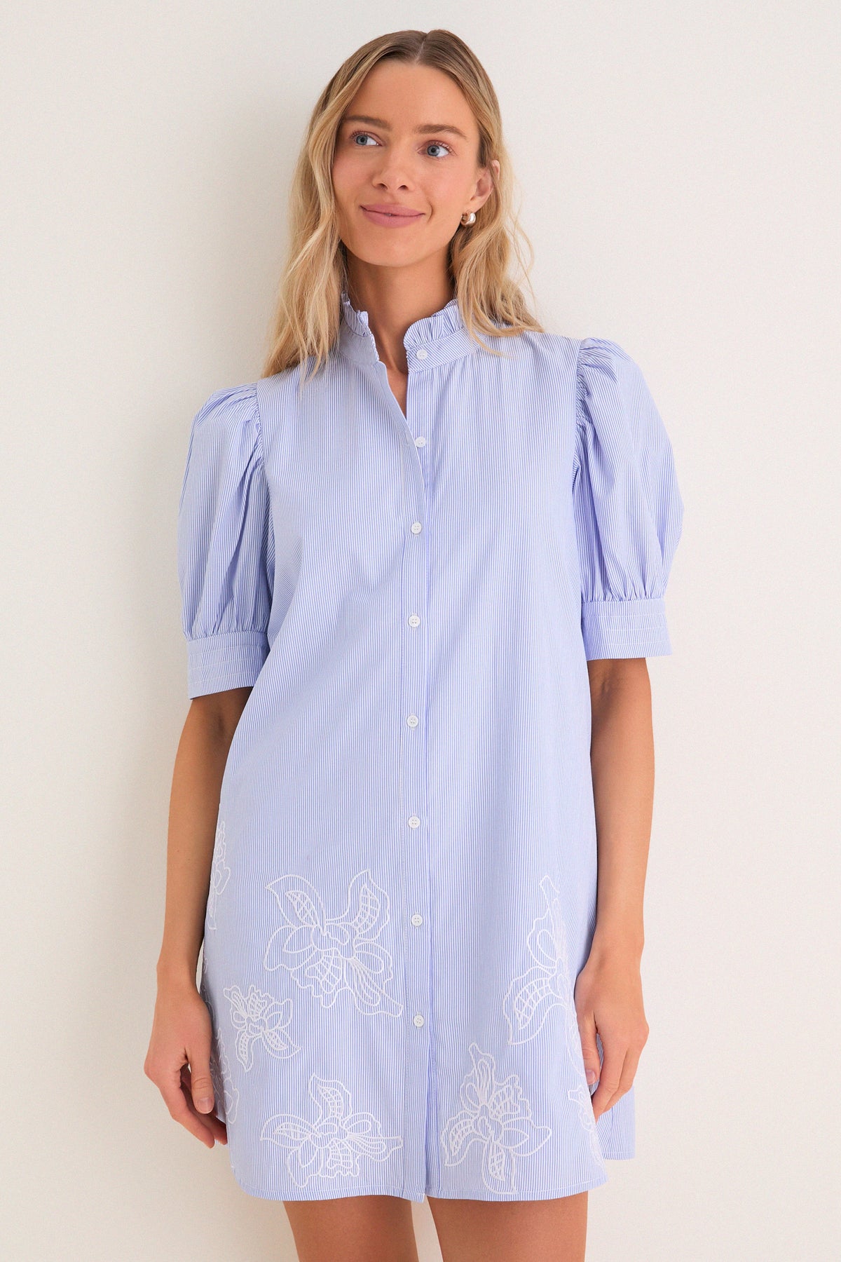 Blue Embroidered Pinstripe Louisa Mini Dress