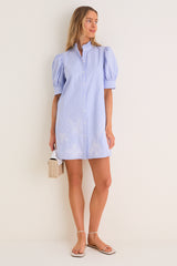 Blue Embroidered Pinstripe Louisa Mini Dress