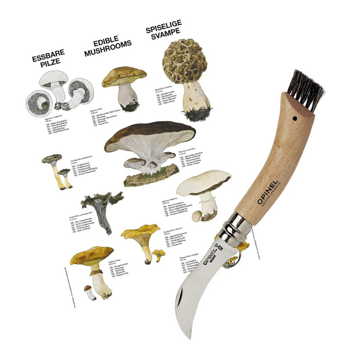 Opinel Svampesæt Opinel