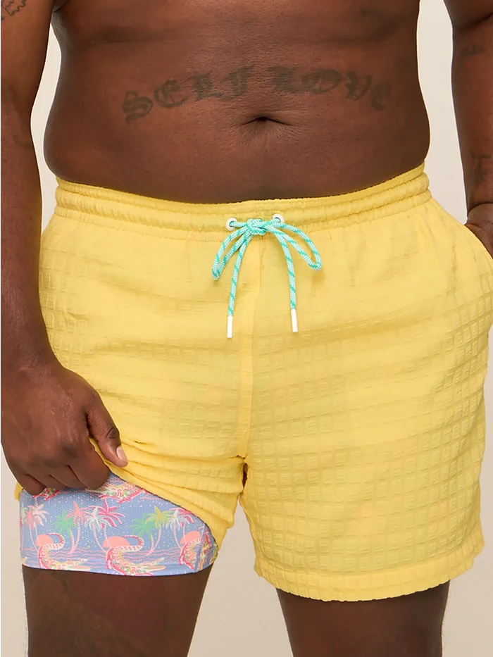 The Dandelions 5.5" (Grid Lined Swim) - Image 1 - Chubbies Shorts