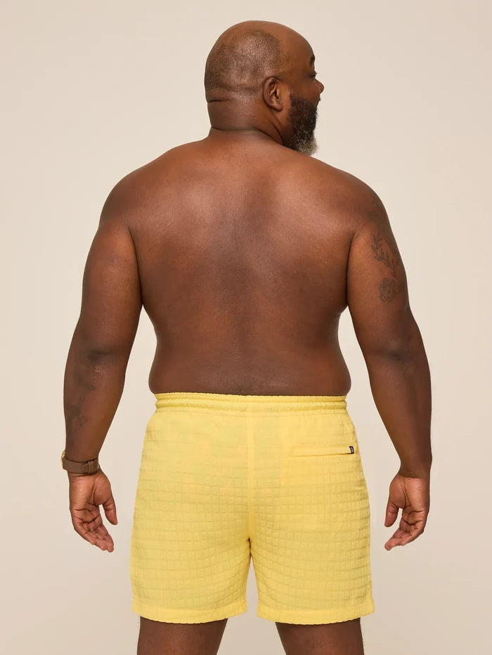 The Dandelions 5.5" (Grid Lined Swim) - Image 2 - Chubbies Shorts