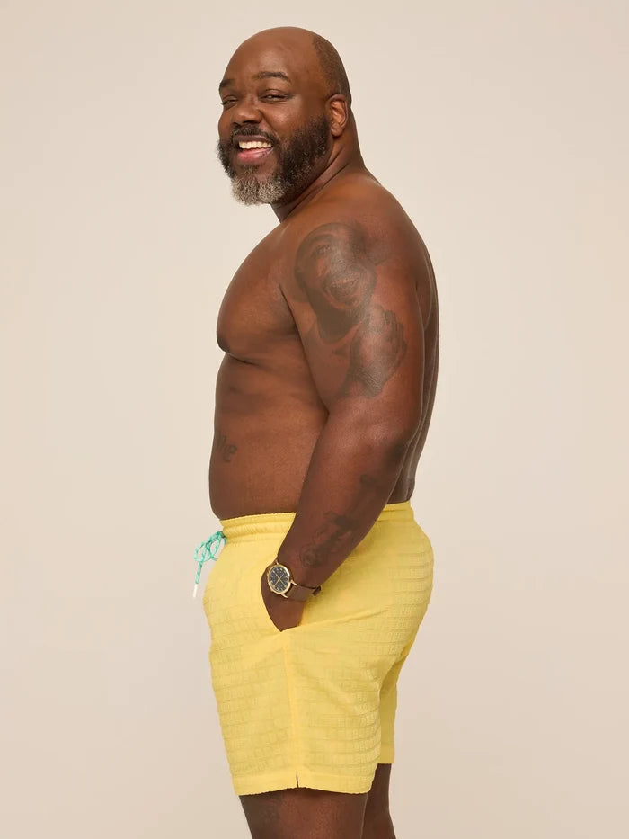 The Dandelions 5.5" (Grid Lined Swim) - Image 3 - Chubbies Shorts