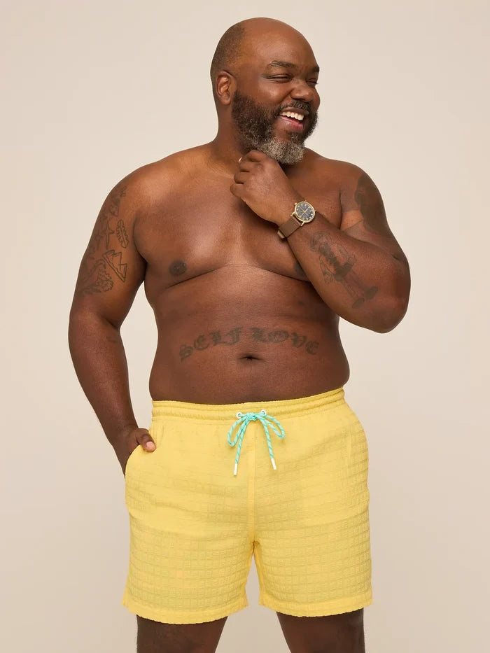 The Dandelions 5.5" (Grid Lined Swim) - Image 4 - Chubbies Shorts