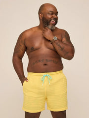 The Dandelions 5.5" (Grid Lined Swim) - Image 4 - Chubbies Shorts