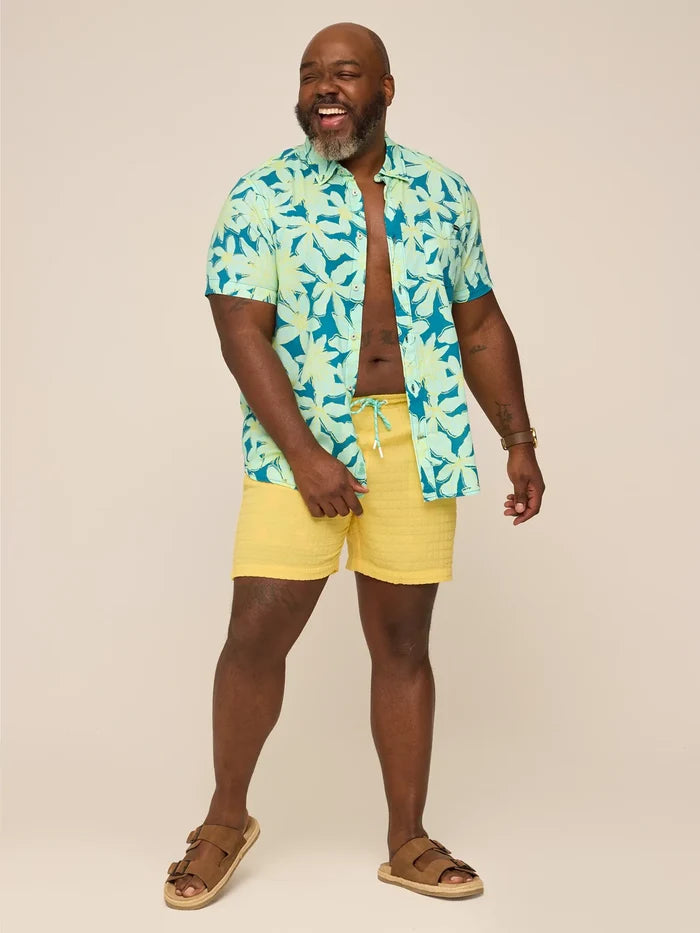The Dandelions 5.5" (Grid Lined Swim) - Image 5 - Chubbies Shorts