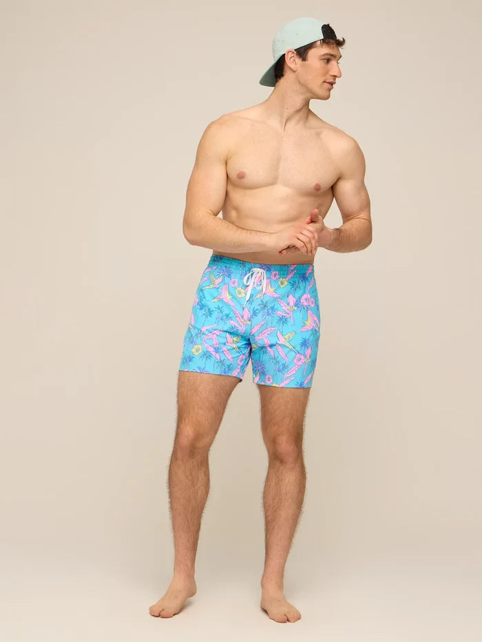 The Flock Parties 5.5" (Classic Lined Swim Trunk) - Image 5 - Chubbies Shorts