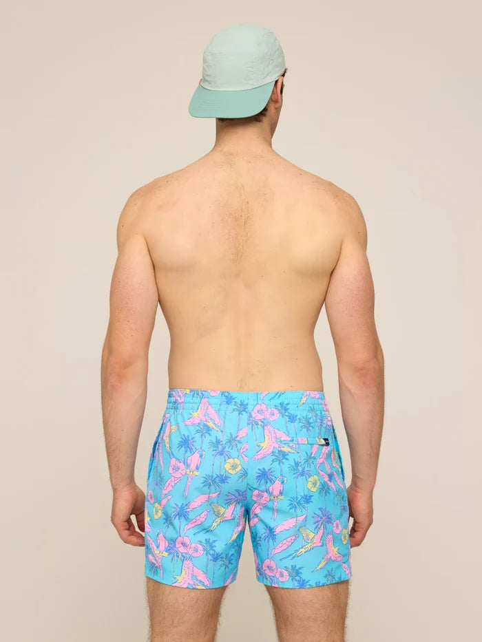 The Flock Parties 5.5" (Classic Swim Trunk) - Image 2 - Chubbies Shorts