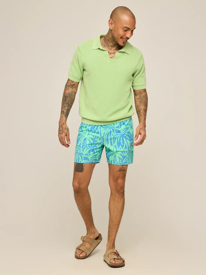 The Frond Farewells 5.5" (Classic Lined Swim Trunk) - Image 5 - Chubbies Shorts