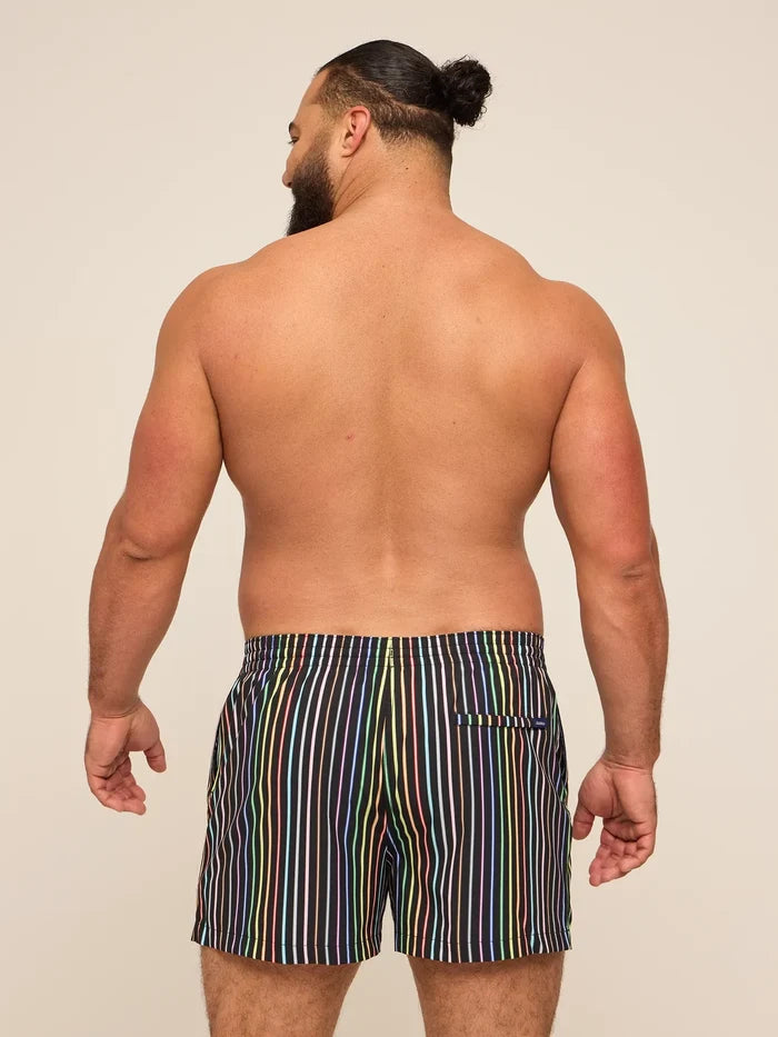 The Luminous Identity 4" (Classic Lined Swim Trunk) - Image 2 - Chubbies Shorts