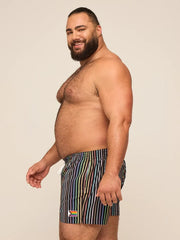 The Luminous Identity 4" (Classic Lined Swim Trunk) - Image 3 - Chubbies Shorts