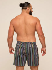 The Luminous Identity 5.5" (Classic Lined Swim Trunk) - Image 2 - Chubbies Shorts