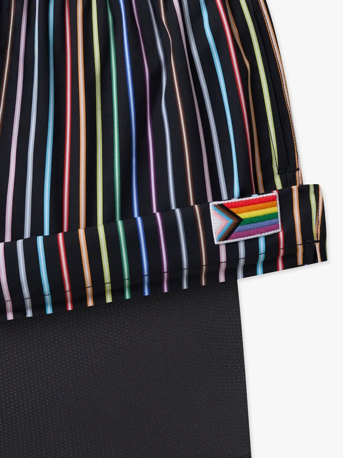 The Luminous Identity 5.5" (Classic Lined Swim Trunk) - Image 2 - Chubbies Shorts