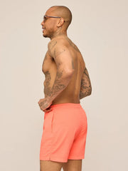 The Nectar Glows 5.5" (Textured Lined Swim) - Image 3 - Chubbies Shorts