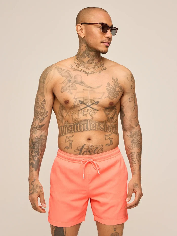The Nectar Glows 5.5" (Textured Lined Swim) - Image 4 - Chubbies Shorts