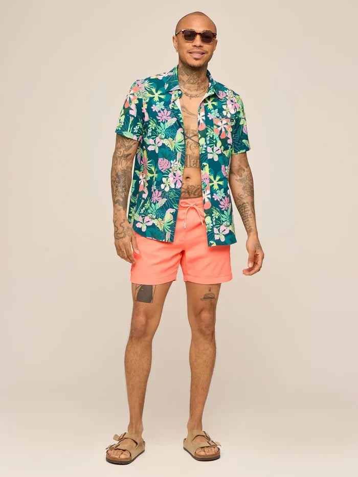 The Nectar Glows 5.5" (Textured Lined Swim) - Image 5 - Chubbies Shorts