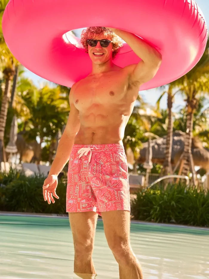The Pyramid Poolsides 5.5" (Classic Swim Trunk) - Image 2 - Chubbies Shorts