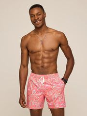 The Pyramid Poolsides 5.5" (Classic Swim Trunk) - Image 1 - Chubbies Shorts