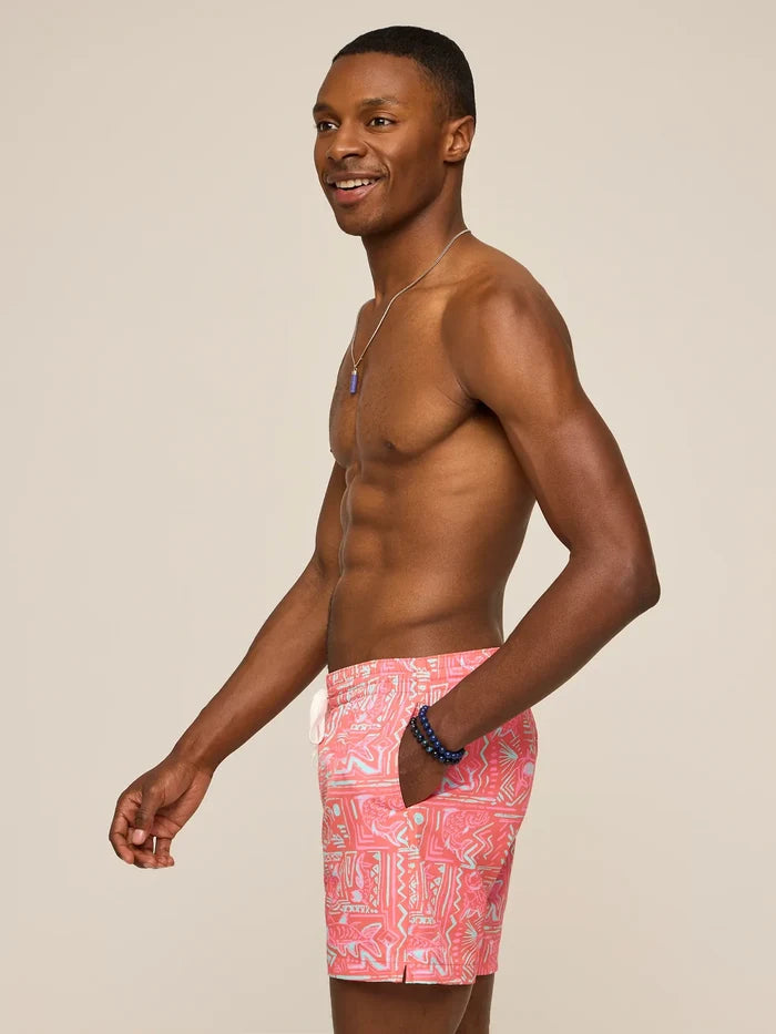 The Pyramid Poolsides 5.5" (Classic Swim Trunk) - Image 3 - Chubbies Shorts