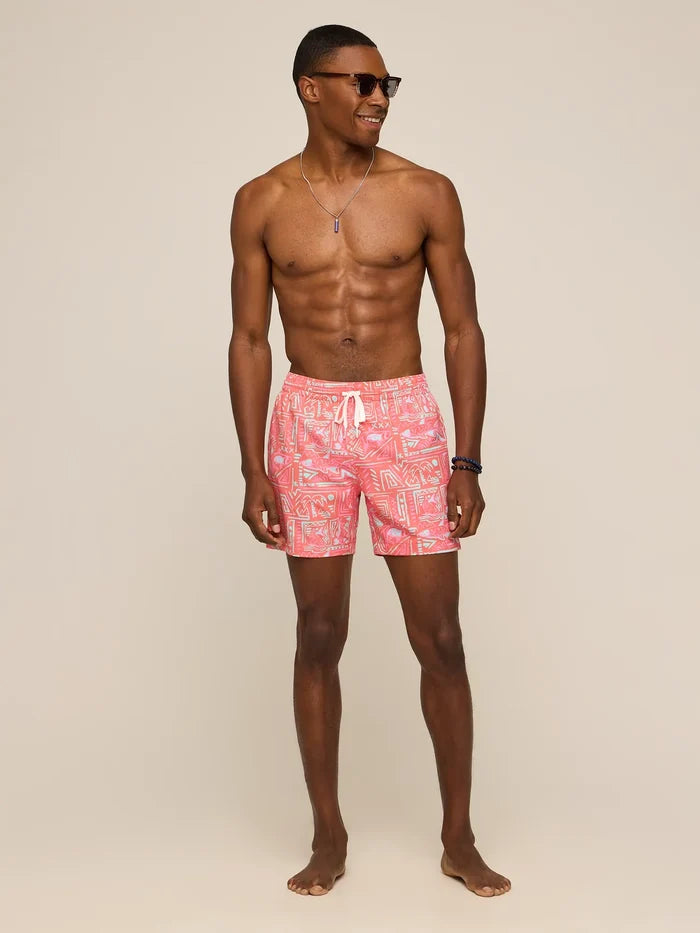 The Pyramid Poolsides 5.5" (Classic Swim Trunk) - Image 4 - Chubbies Shorts