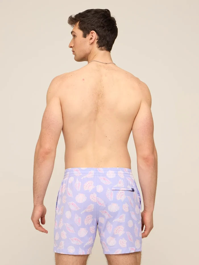 The Shell Yeahs 5.5" (Classic Lined Swim Trunk) - Image 2 - Chubbies Shorts