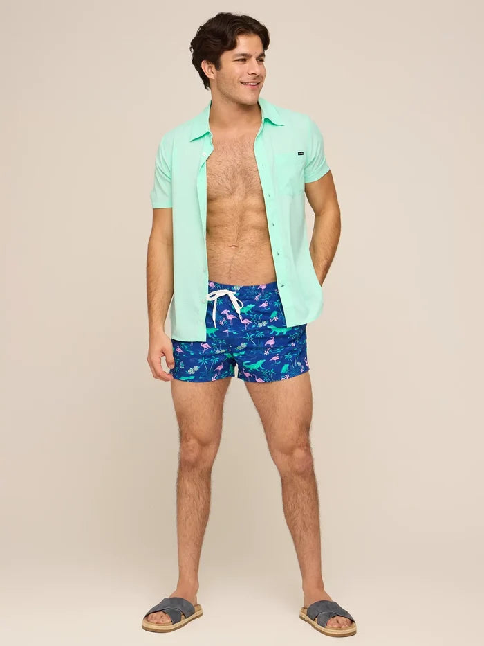 The Swamp & Circumstances 4" (Classic Lined Swim Trunk) - Image 5 - Chubbies Shorts